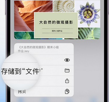 五营apple维修中心分享iPhone文件应用中存储和找到下载文件