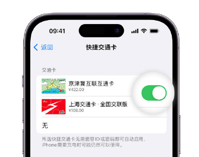 五营apple维修点分享iPhone上更换Apple Pay快捷交通卡手绘卡面 