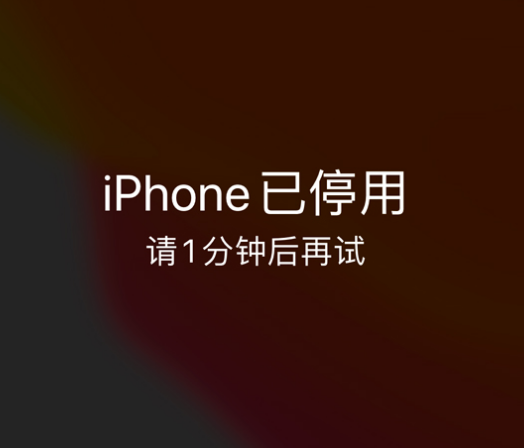 五营苹果手机维修分享:iPhone 显示“不可用”或“已停用”怎么办？还能保留数据吗？ 