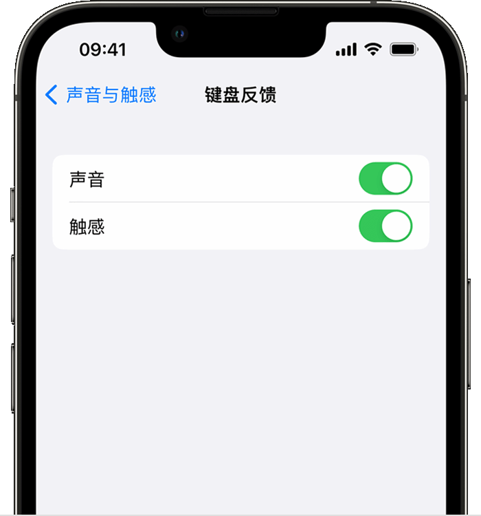 五营苹果14维修店分享如何在 iPhone 14 机型中使用触感键盘 