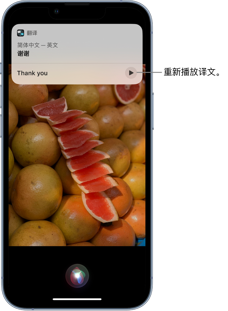 五营苹果14维修分享 iPhone 14 机型中使用 Siri：了解 Siri 能帮你做什么 