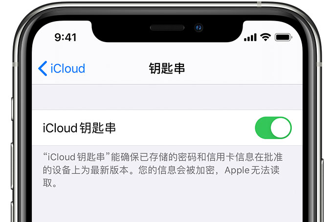 五营苹果手机维修分享在 iPhone 上开启 iCloud 钥匙串之后会储存哪些信息 