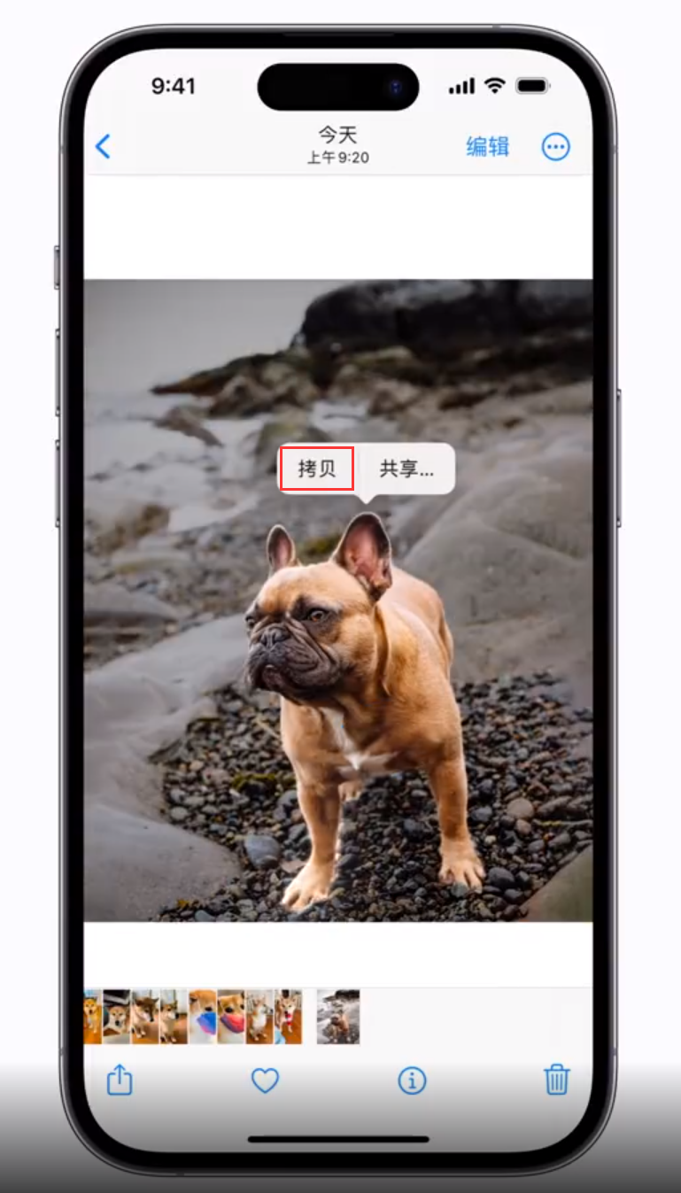 五营苹果手机维修分享 iOS 16 自带一键抠图功能 