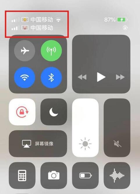 五营苹果手机维修分享为 iPhone 12 双卡设置标签 